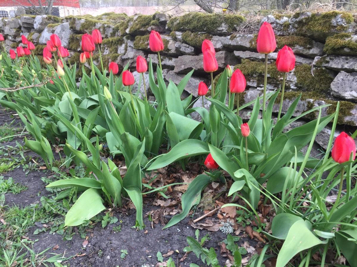 Stenbrottets Lillstuga Falkoping Bagian luar foto